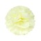 Wrapables Set of 12 Tissue Pom Pom Party Decorations for Weddings, Birthday Parties Baby Showers and Nursery Decor, Peach/Orange/Tan/Ivory